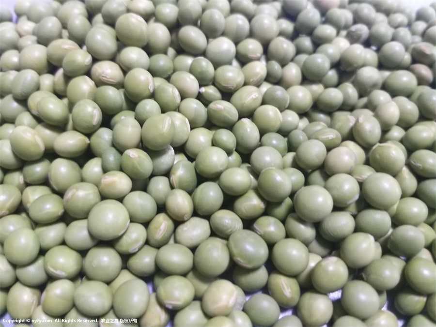 ඹDƬ